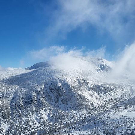 Pinewood Ang Apartment, Semiramida Borovets Hills Zewnętrze zdjęcie