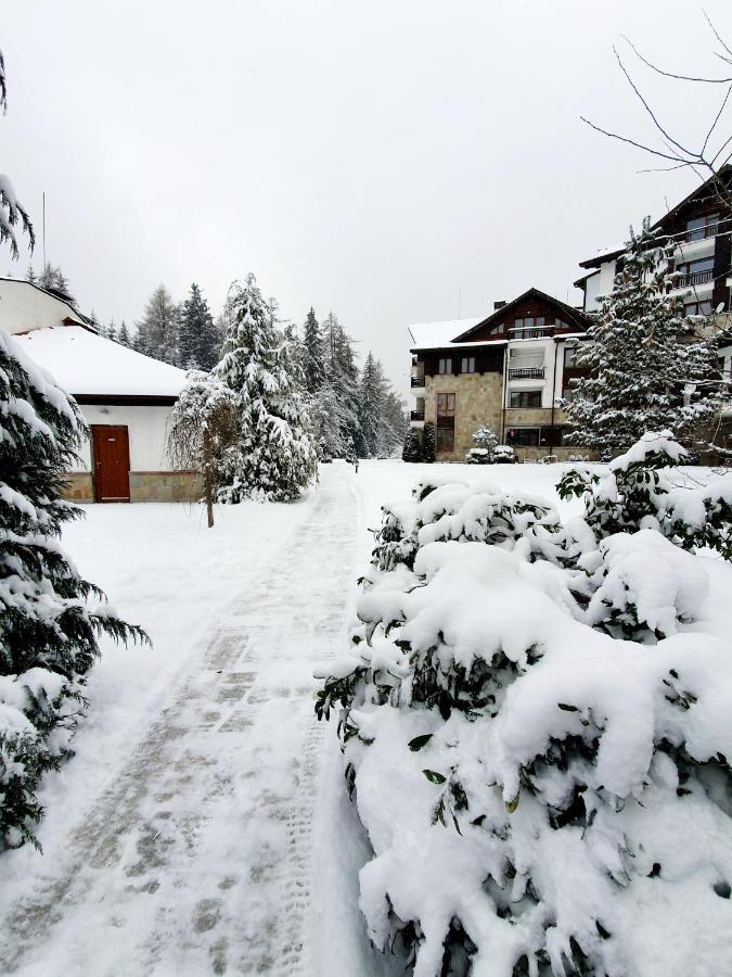 Pinewood Ang Apartment, Semiramida Borovets Hills Zewnętrze zdjęcie