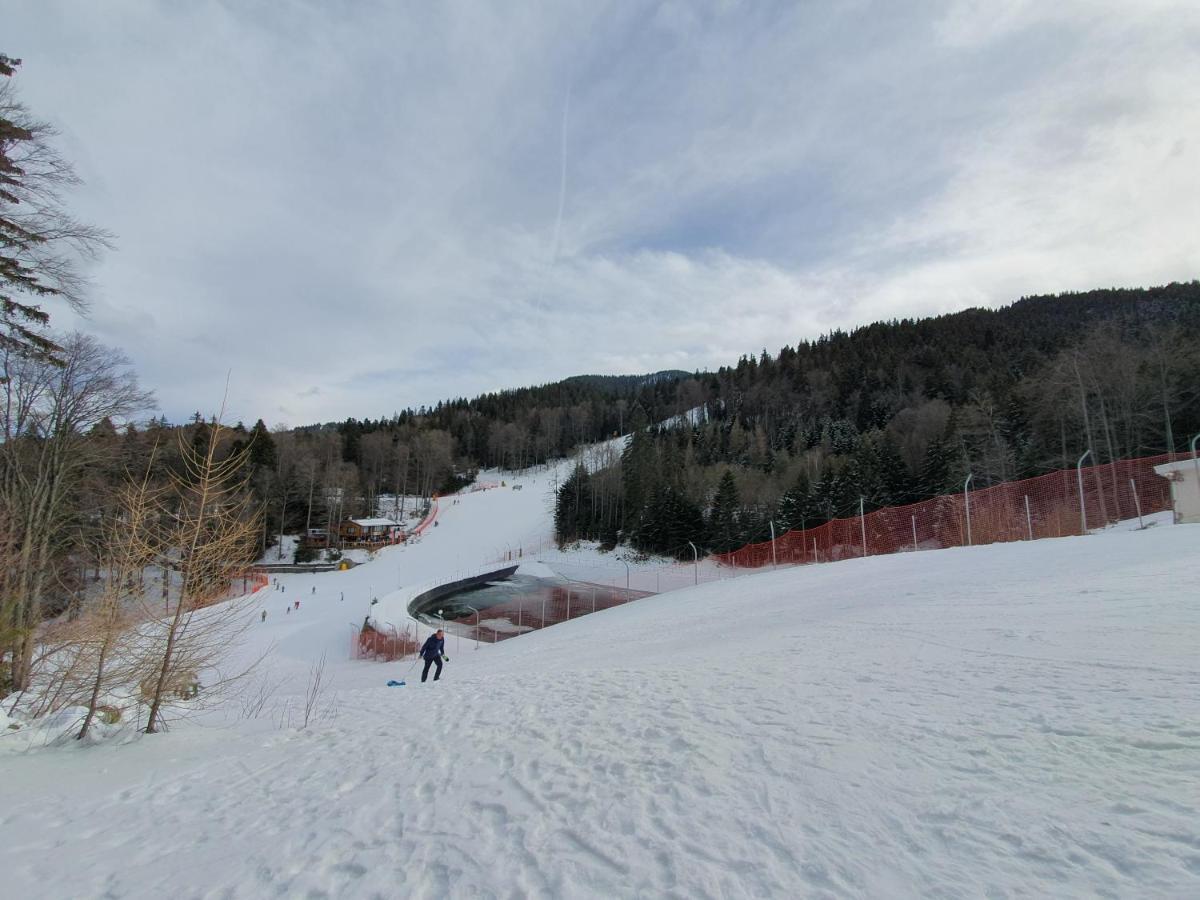 Pinewood Ang Apartment, Semiramida Borovets Hills Zewnętrze zdjęcie