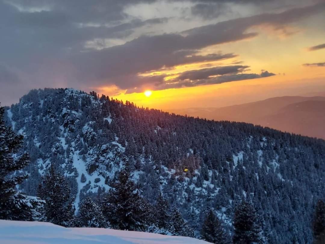 Pinewood Ang Apartment, Semiramida Borovets Hills Zewnętrze zdjęcie